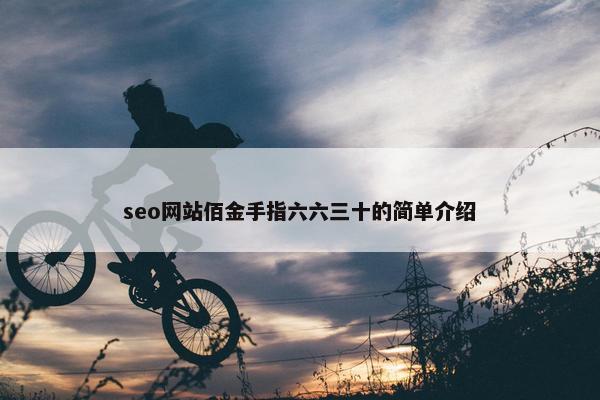 seo网站佰金手指六六三十的简单介绍 seo网站佰金手指六六三十的简单介绍