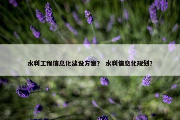 水利工程信息化建设方案？ 水利信息化规划？