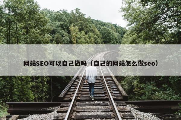 网站SEO可以自己做吗（自己的网站怎么做seo）