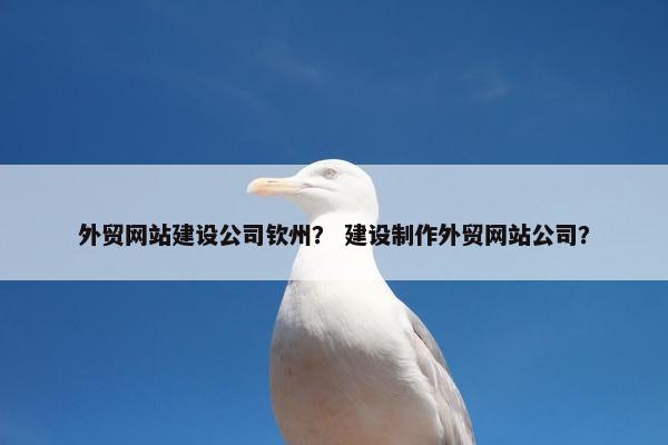 外贸网站建设公司钦州？ 建设制作外贸网站公司？