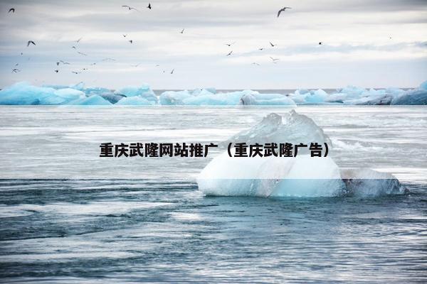 重庆武隆网站推广（重庆武隆广告）