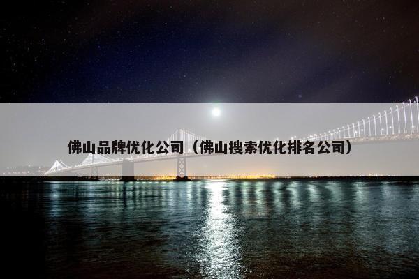 佛山品牌优化公司（佛山搜索优化排名公司）