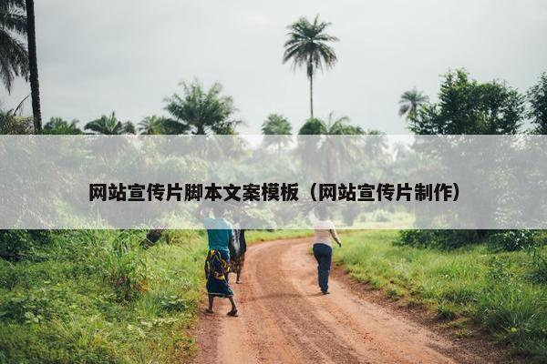 网站宣传片脚本文案模板（网站宣传片制作）