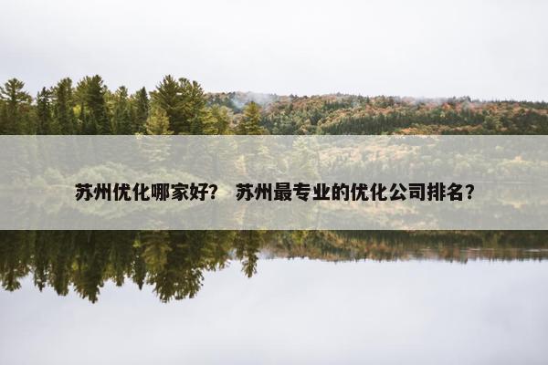 苏州优化哪家好？ 苏州最专业的优化公司排名？