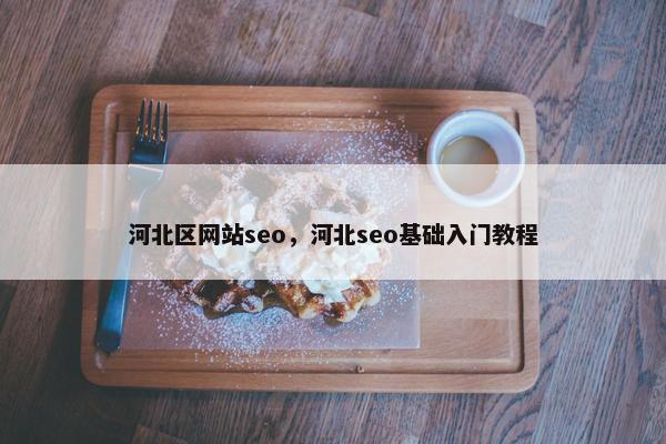 河北区网站seo，河北seo基础入门教程
