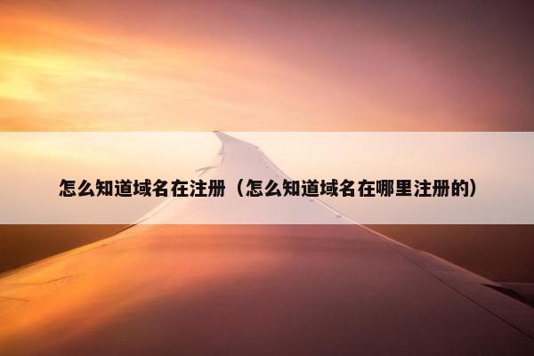 怎么知道域名在注册（怎么知道域名在哪里注册的）
