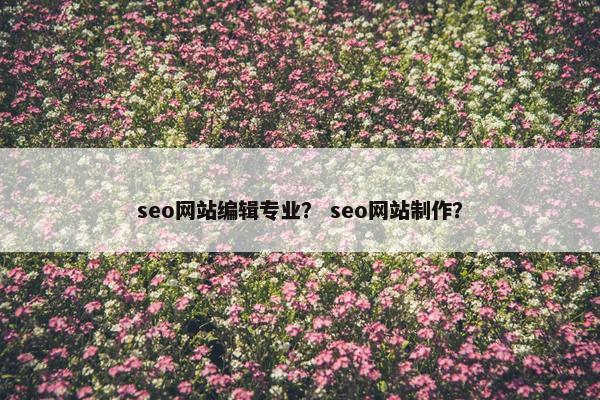 seo网站编辑专业？ seo网站制作？