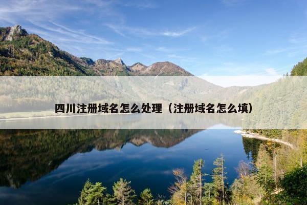 四川注册域名怎么处理（注册域名怎么填）