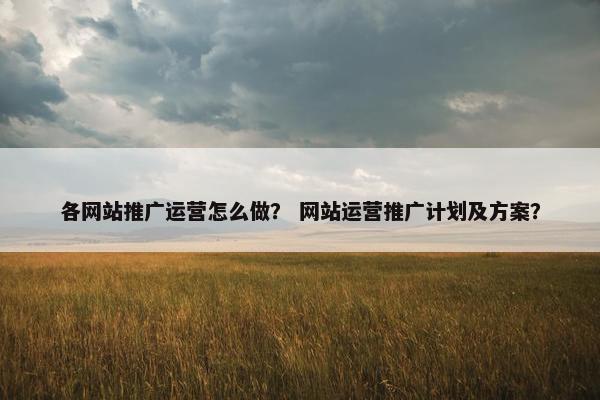 各网站推广运营怎么做？ 网站运营推广计划及方案？