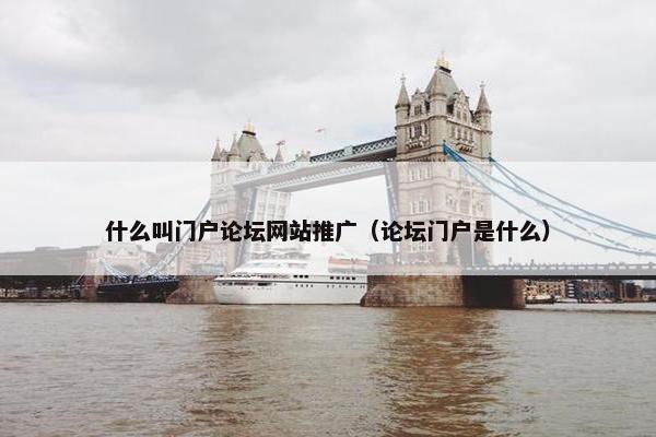 什么叫门户论坛网站推广（论坛门户是什么）