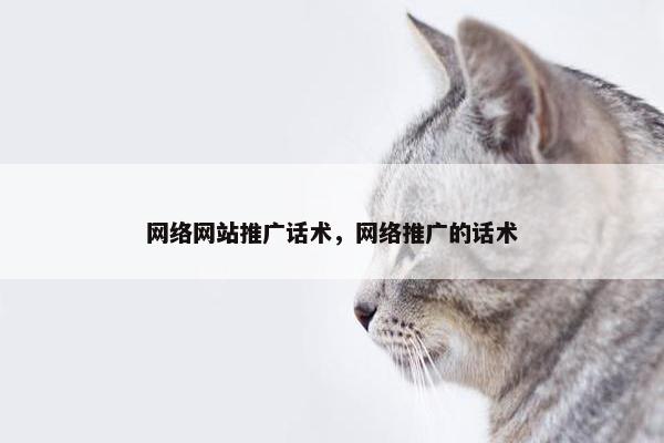 网络网站推广话术，网络推广的话术