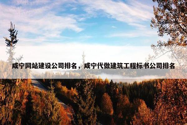 咸宁网站建设公司排名，咸宁代做建筑工程标书公司排名