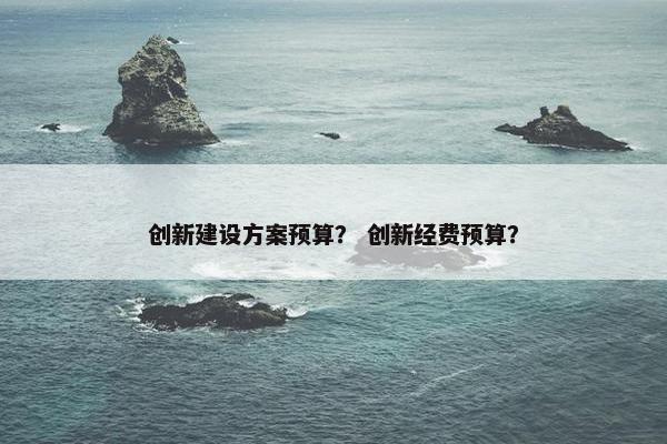 创新建设方案预算？ 创新经费预算？