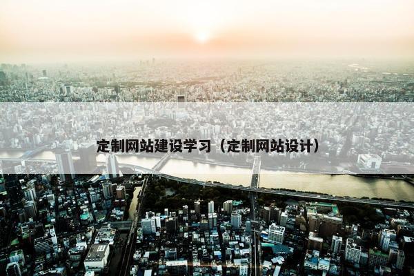 定制网站建设学习（定制网站设计）