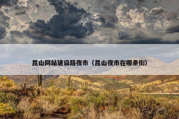 昆山网站建设路夜市（昆山夜市在哪条街）