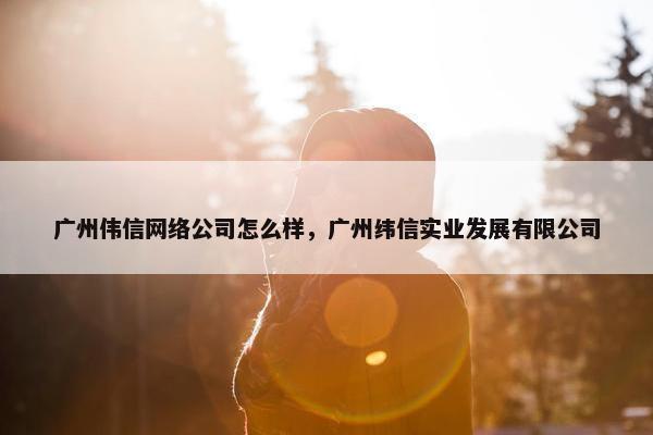 广州伟信网络公司怎么样，广州纬信实业发展有限公司