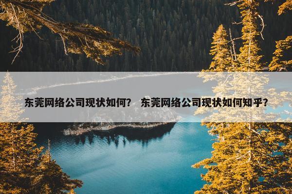 东莞网络公司现状如何？ 东莞网络公司现状如何知乎？