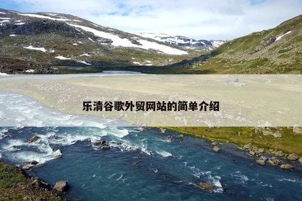 乐清谷歌外贸网站的简单介绍