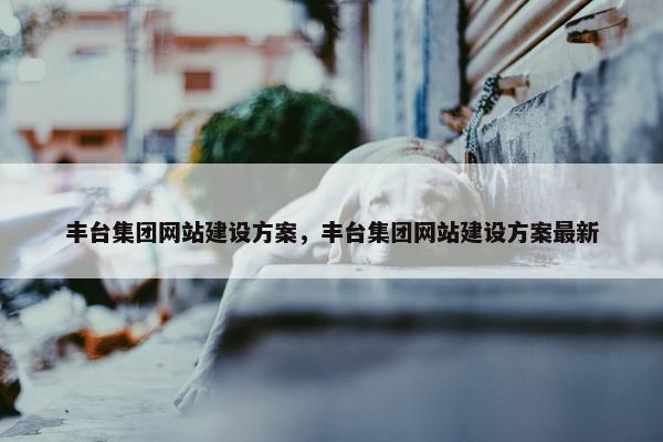 丰台集团网站建设方案，丰台集团网站建设方案最新