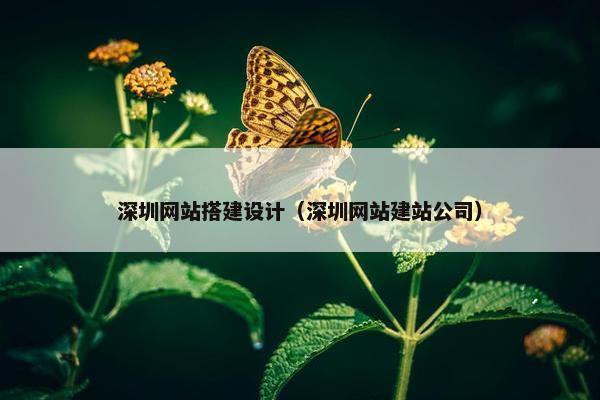 深圳网站搭建设计（深圳网站建站公司）