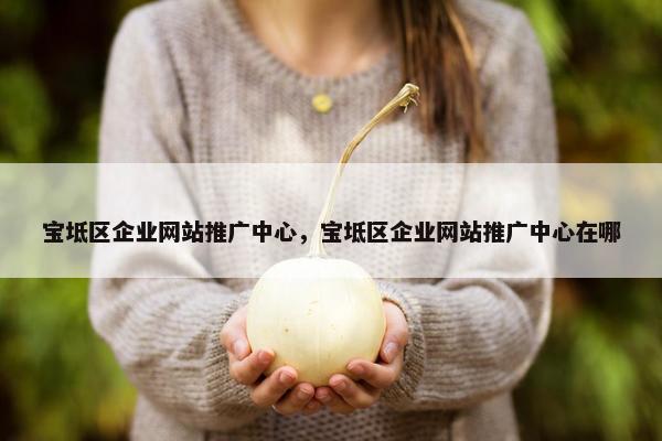 宝坻区企业网站推广中心，宝坻区企业网站推广中心在哪