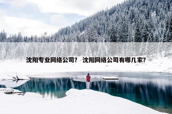 沈阳专业网络公司？ 沈阳网络公司有哪几家？