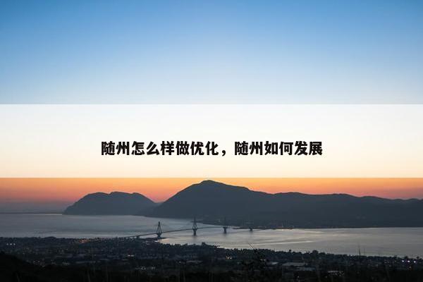 随州怎么样做优化，随州如何发展