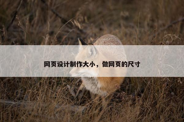 网页设计制作大小，做网页的尺寸