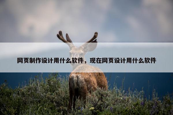 网页制作设计用什么软件，现在网页设计用什么软件