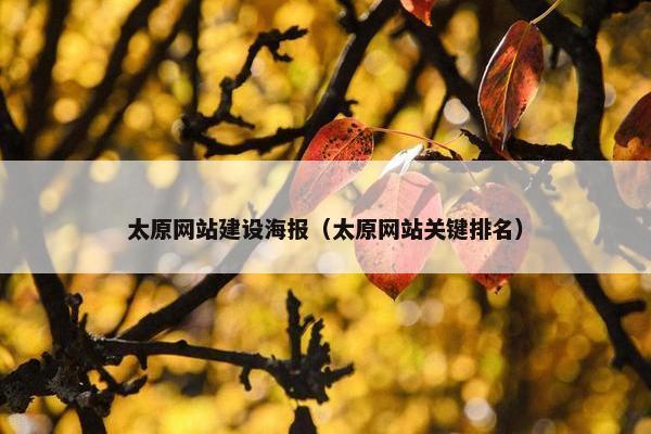 太原网站建设海报（太原网站关键排名）