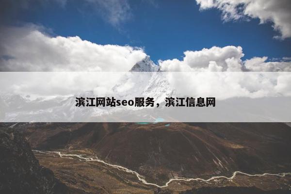 滨江网站seo服务，滨江信息网
