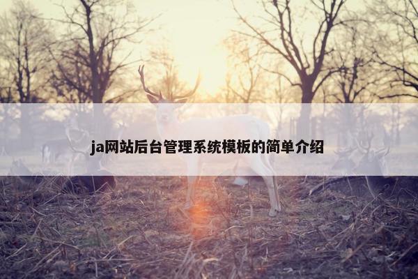 ja网站后台管理系统模板的简单介绍