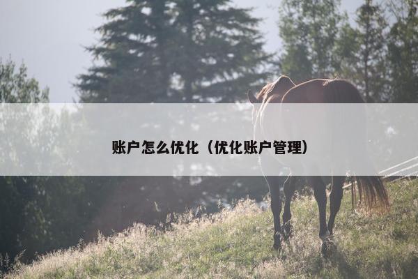 账户怎么优化（优化账户管理）