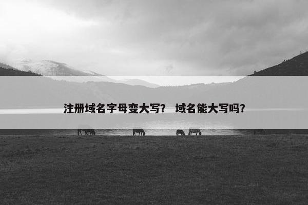 注册域名字母变大写？ 域名能大写吗？