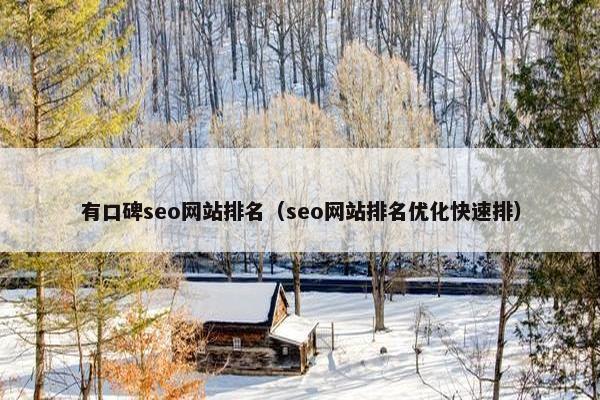 有口碑seo网站排名（seo网站排名优化快速排）