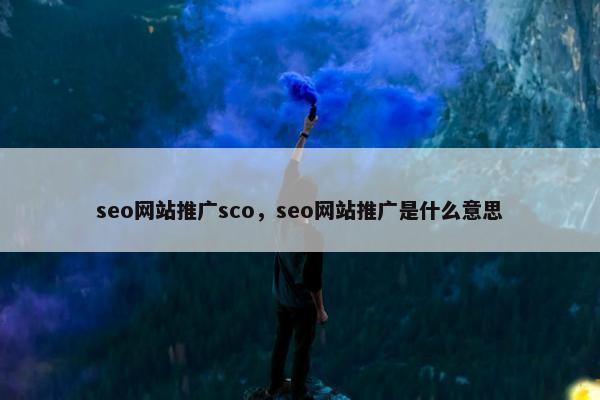seo网站推广sco，seo网站推广是什么意思