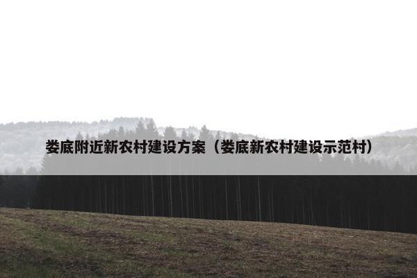 娄底附近新农村建设方案（娄底新农村建设示范村）