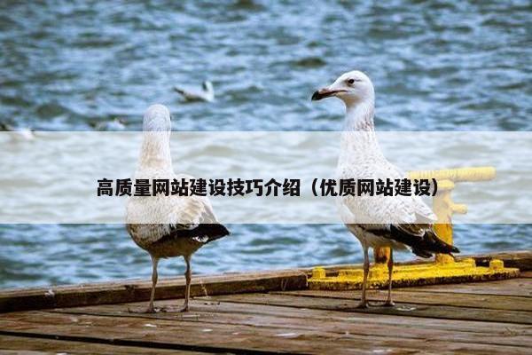 高质量网站建设技巧介绍（优质网站建设）