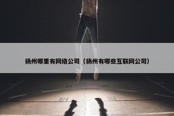 扬州哪里有网络公司（扬州有哪些互联网公司）