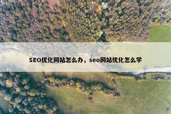 SEO优化网站怎么办，seo网站优化怎么学