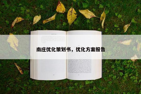 南庄优化策划书，优化方案报告