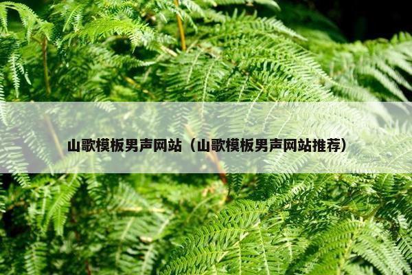 山歌模板男声网站（山歌模板男声网站推荐）