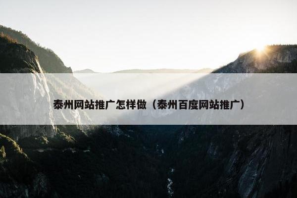 泰州网站推广怎样做（泰州百度网站推广）