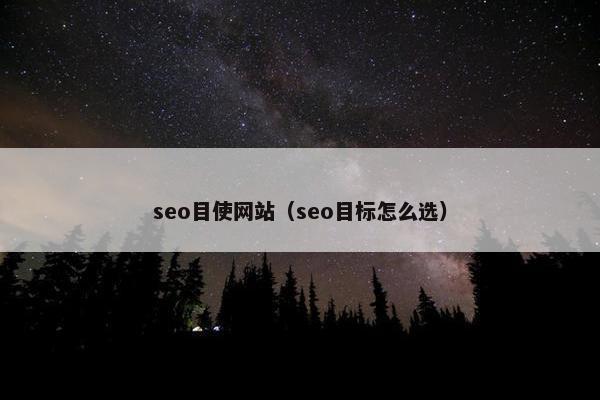 seo目使网站（seo目标怎么选）
