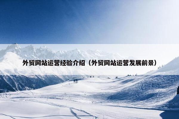 外贸网站运营经验介绍（外贸网站运营发展前景）