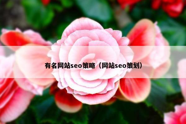 有名网站seo策略（网站seo策划）