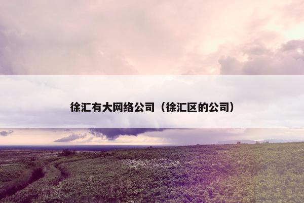 徐汇有大网络公司（徐汇区的公司）