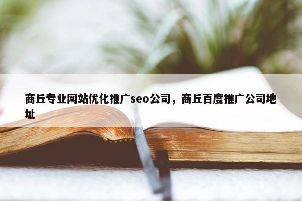 商丘专业网站优化推广seo公司，商丘百度推广公司地址