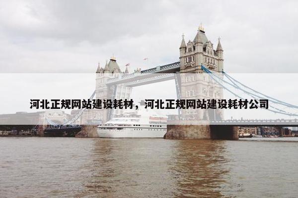 河北正规网站建设耗材，河北正规网站建设耗材公司