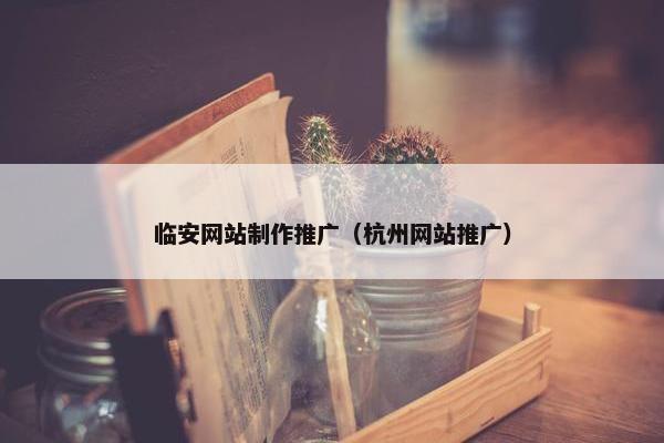 临安网站制作推广（杭州网站推广）